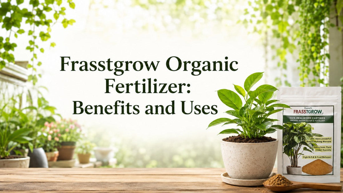 Frasstgrow Organic Fertilizer: Benefits and Uses