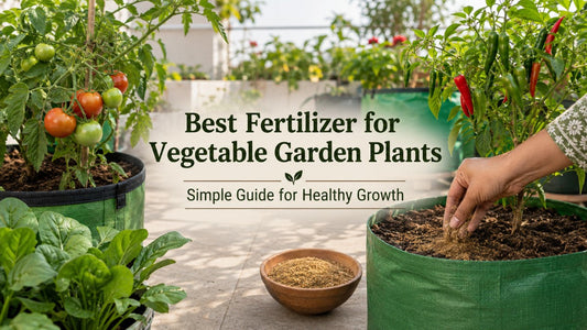 Best Fertilizer for Vegetable Garden Plants