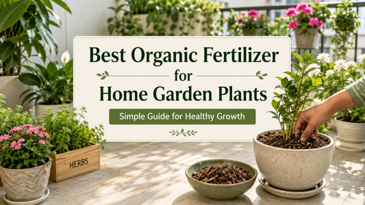 Best Organic Fertilizer for Home Garden Plants