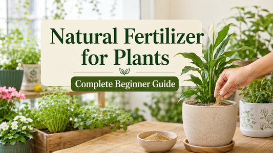 Natural Fertilizer for Plants: Complete Beginner Guide