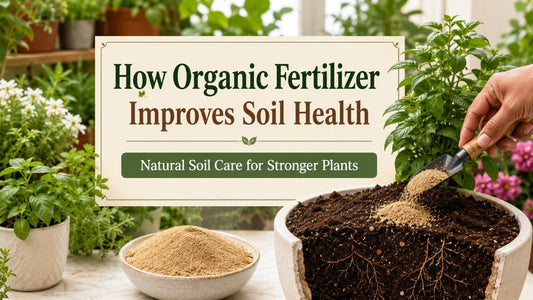 Soil Fertility Tips for Home Gardens, Pots and Balcony Plants