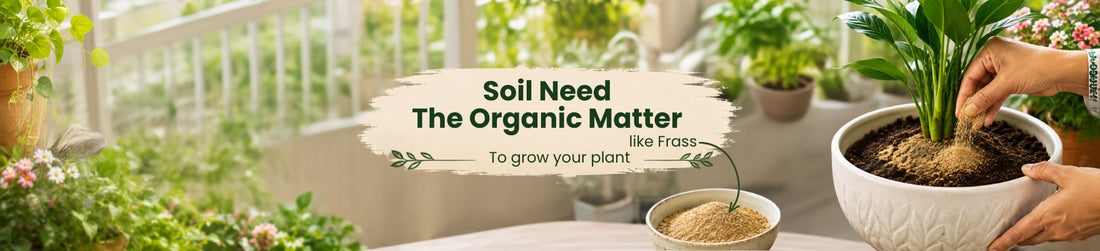 Organic Matter in Soil: Why Plants Need It