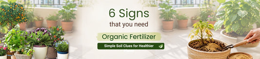 6 Signs Your Soil Needs Organic Fertilizer