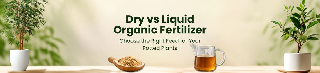 Dry vs. Liquid Organic Fertilizer for Potted Plants
