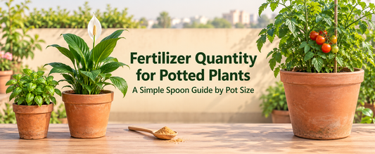 How Much Organic Fertilizer Should You Use According to Pot Size?