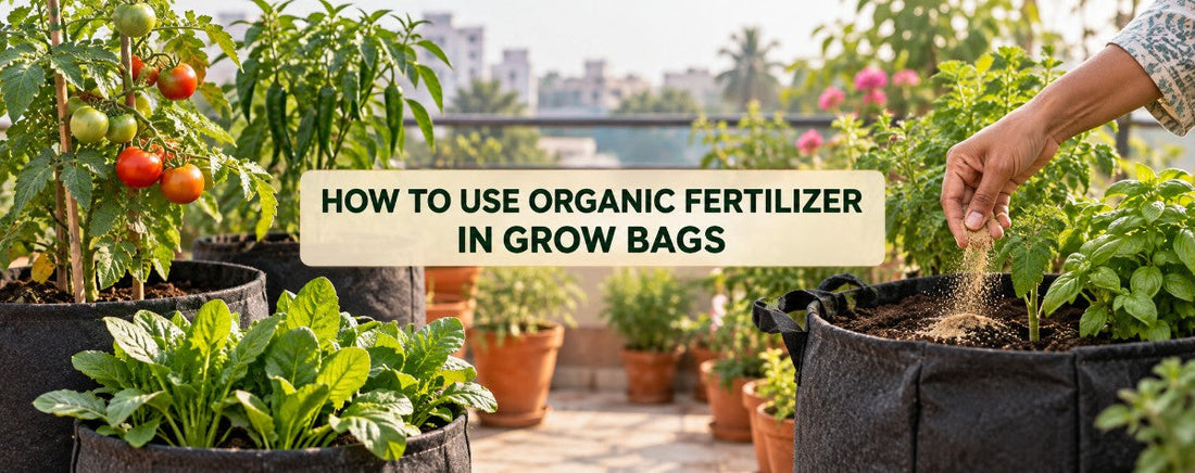 How to Use Organic Fertilizer in Grow Bags