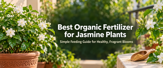 Organic Fertilizer for Jasmine Plants: A Beginner's Guide