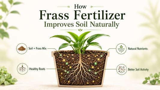How Frass Fertilizer Improves Soil Naturally