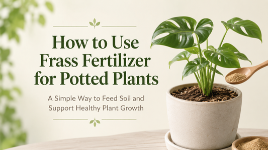 How to Use Frass Fertilizer for Potted Plants?