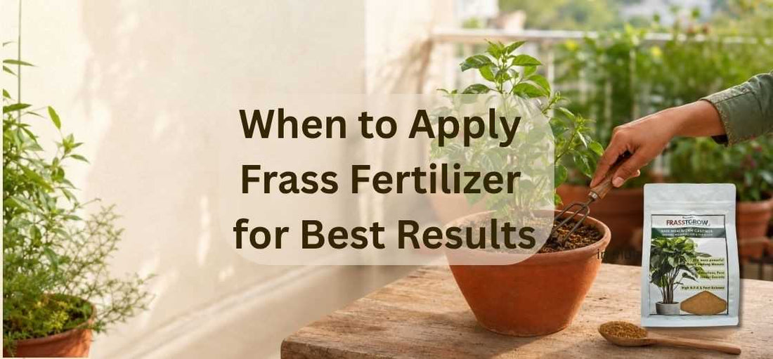 When to Apply Frass Fertilizer for Best Results