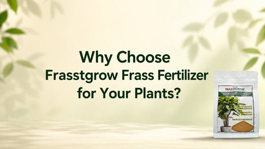 Why Choose Frasstgrow Frass Fertilizer for Your Plants?