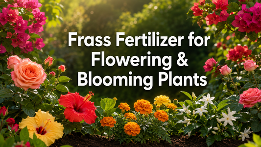 Frass Fertilizer for Flowering Plants: Uses and Benefits
