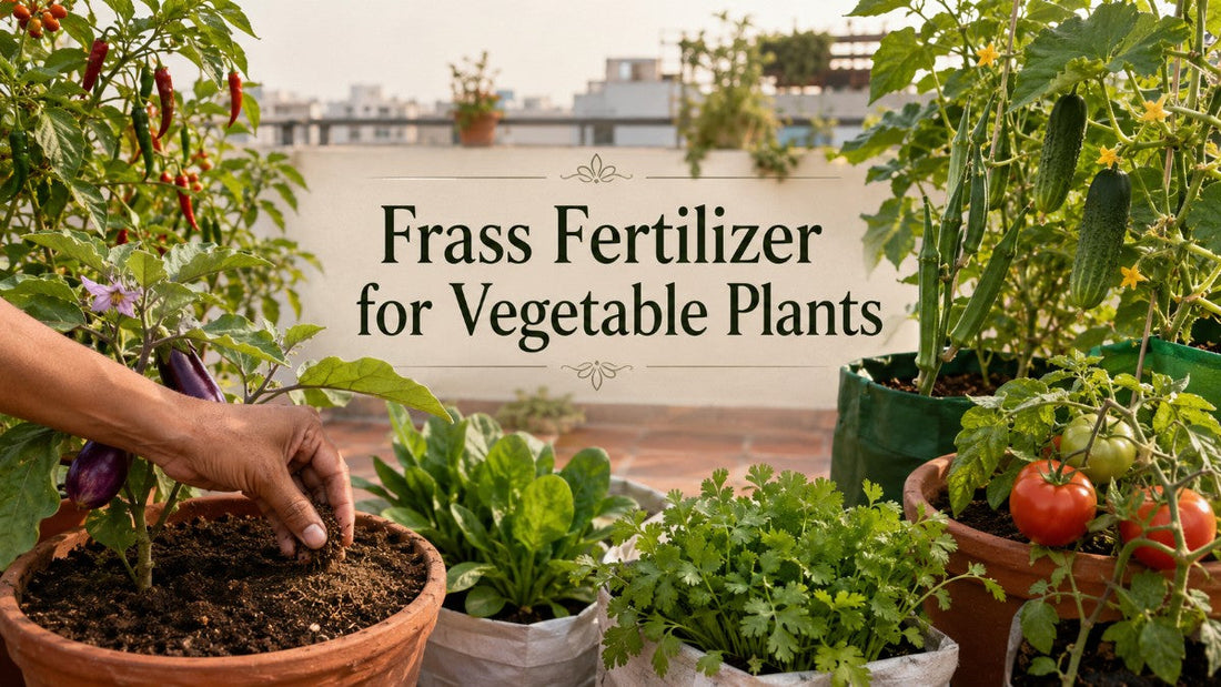 Frass Fertilizer for Vegetable Plants: Natural Plant Food for Healthy Growth