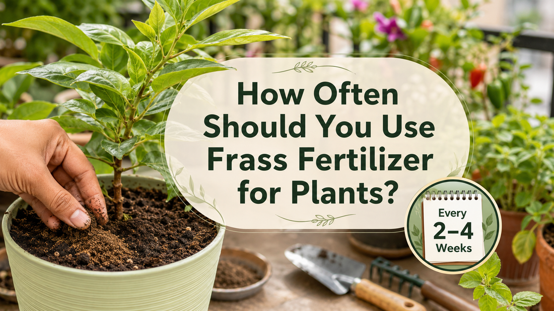 How Often Should You Use Frass Fertilizer for Plants?