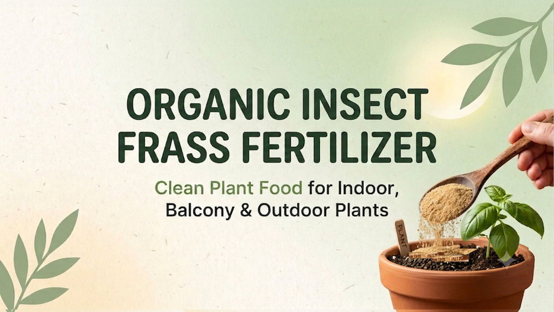 Organic Insect Frass Fertilizer: Clean Plant Food for Indoor, Balcony & Outdoor Plants