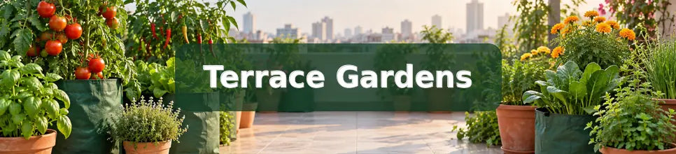 Organic Fertilizer Schedule for Terrace Gardens in India